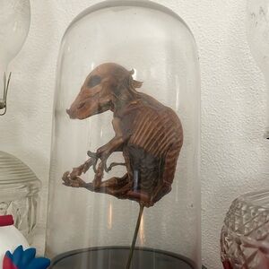 Pig fetus odditie Halloween